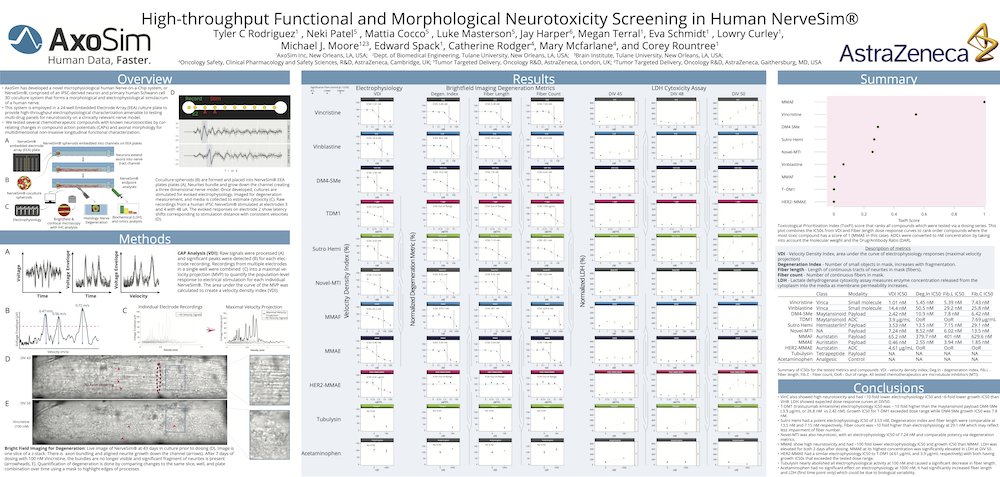 High-throughput Functional and Morphological Neurotoxicity Screening in Human NerveSim®