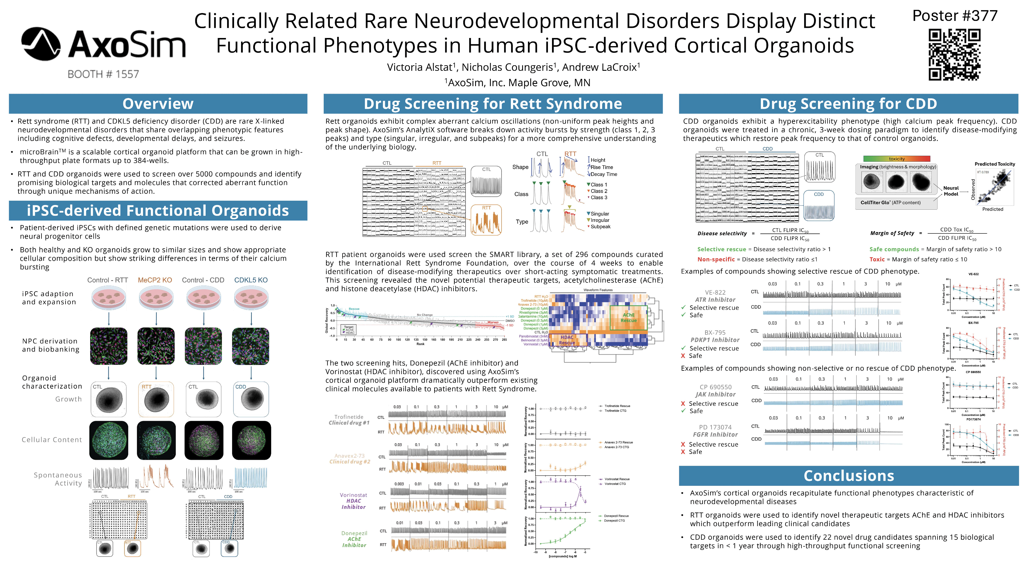 Clinically Related Rare Neurodevelopmental Disorders Display Distinct Functional Phenotypes in Human